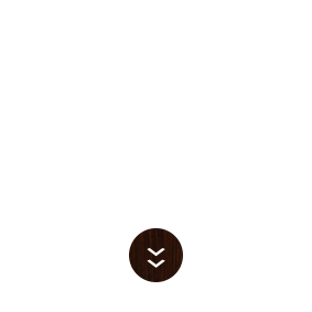 飲み放題付きコース