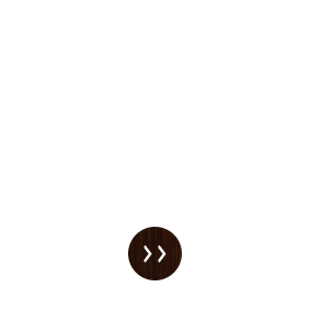 玉ちゃんこだわりの焼鳥