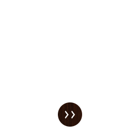 美味しい料理とお酒のご案内