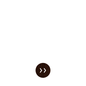 宴会にぴったりのコースはこちら