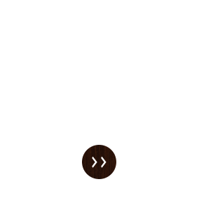 宴会にぴったりのコースはこちら