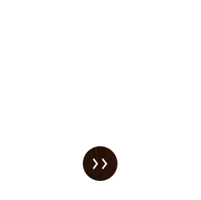 美味しい料理とお酒のご案内